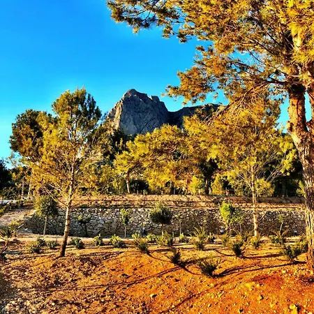 Hotel Nature Puig Campana By Ar & 3*