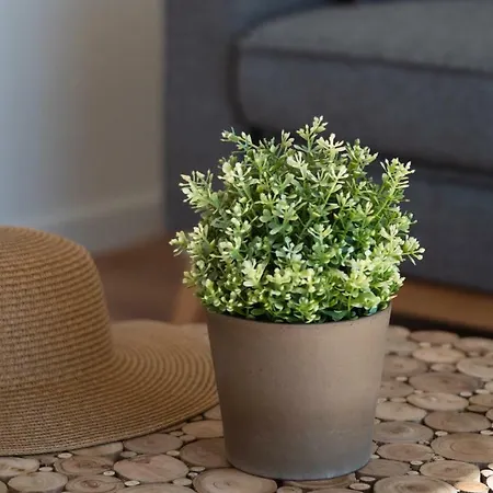 Nature Puig Campana By Ar & Finestrat